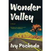 wonder-velley-ivy-pochoda-book-review