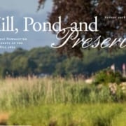 Hill-Pond-and-Preserve