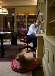 jeanne-blasberg-writing-the-nine-with-dog-brady-based-on-sacred-story-of-hannah-and-samuel