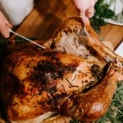 jeanne-blasberg-thanksgiving-turkey