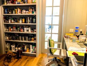 jeanne-blasberg-office-covid-quarantine-dogs-pantry