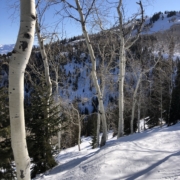 Heli-skiing, Skiing: Powder Dreams