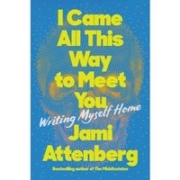 i-came-all-this-way-to-weet-you-jami-attenberg-book-review-jeanne-blasberg