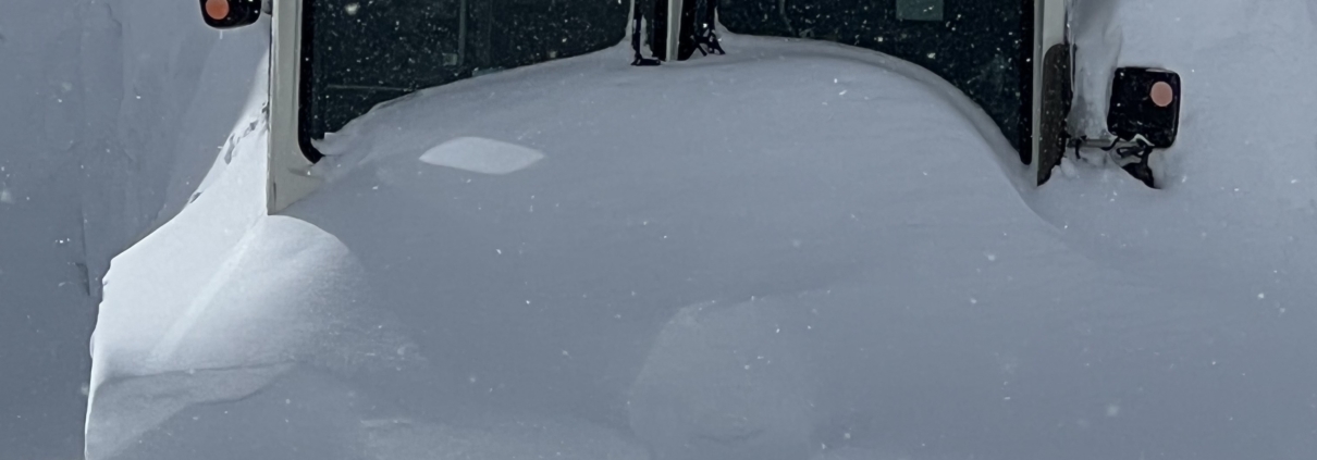 middle path, Searching for The Middle Path