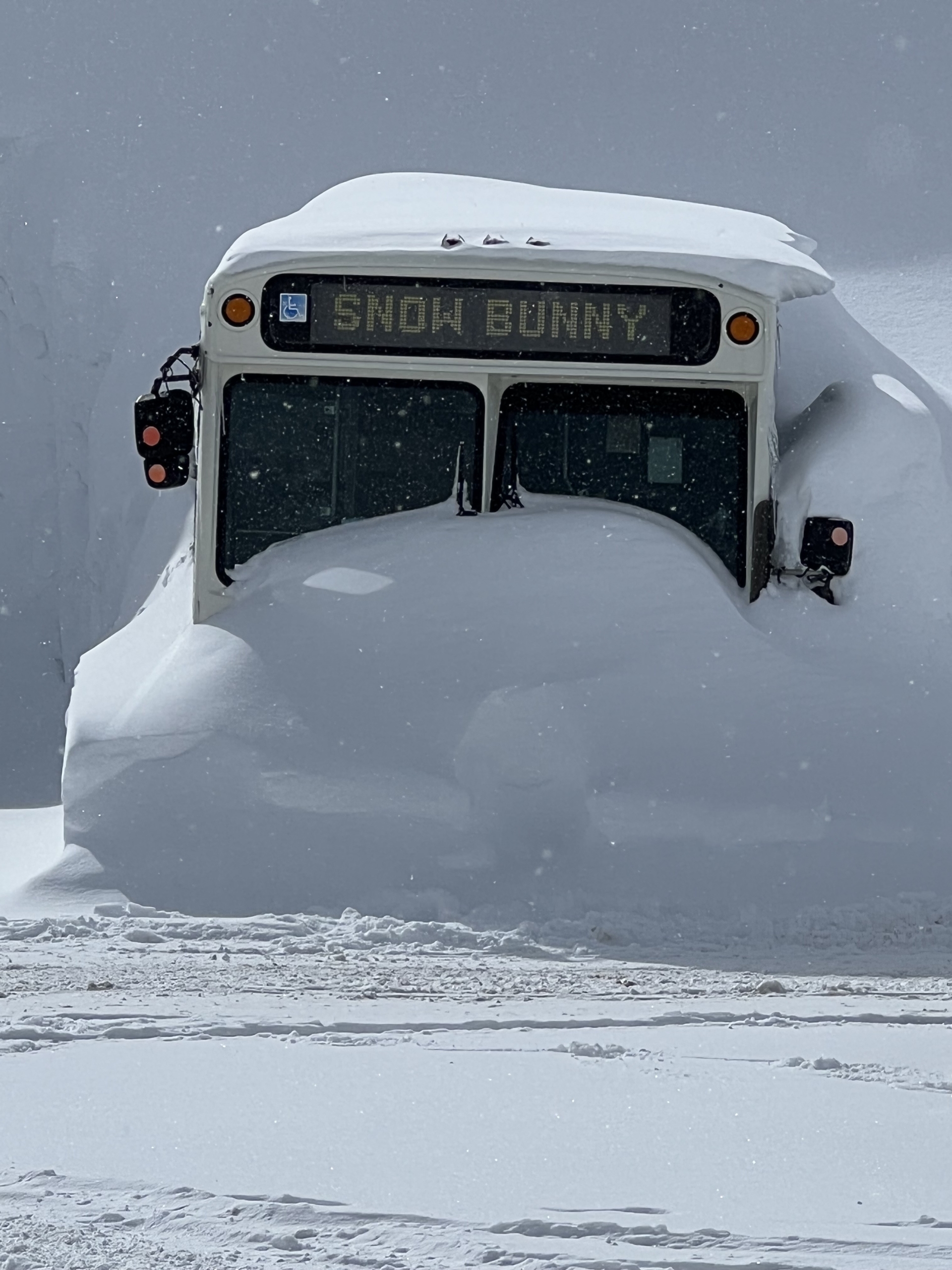 middle path, Searching for The Middle Path