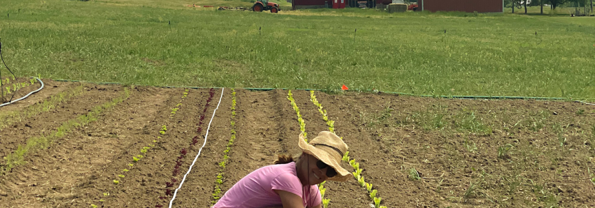 planting, The Planting