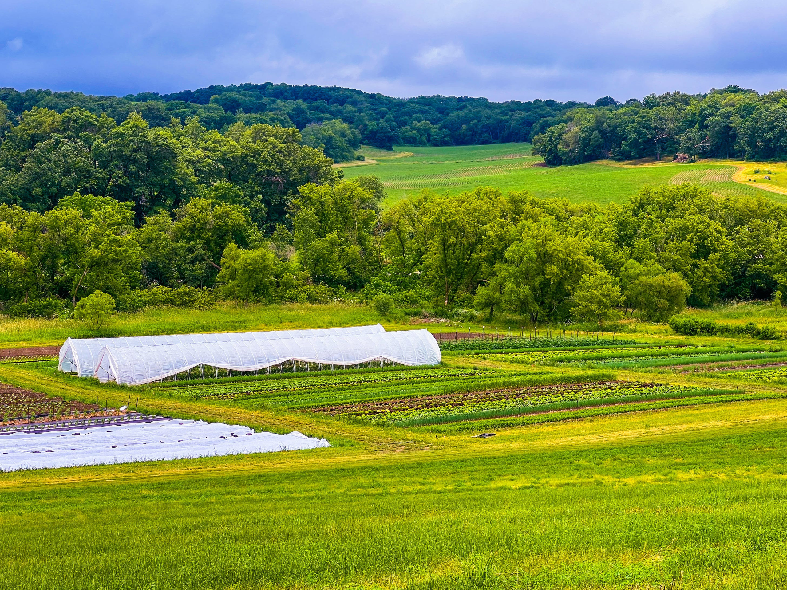 not knowing, I’m okay with not knowing… or at least that’s what I tell myself.