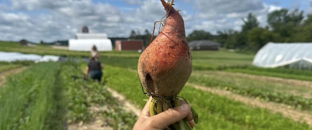 why farming, Why Farming? Looking Back to Move Forward