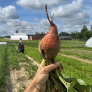 why-farming-flynn-creek-farm-beet-harvest , The People