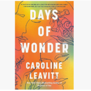 how beautiful we were, How Beautiful We Were by Imbolo Mbue